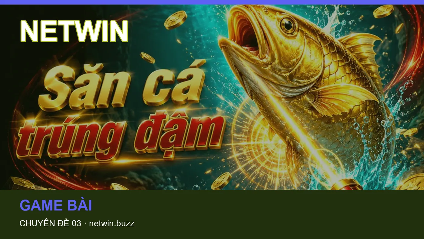 Hỏi đáp về Bóng đá: quy trình tự kiểm tra trên NETWIN