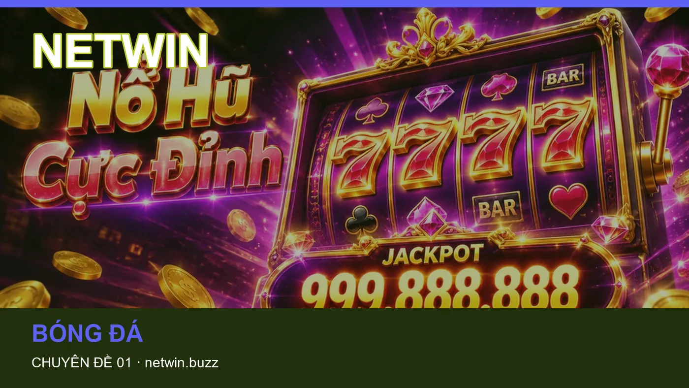 Hỏi đáp về Casino: quy trình tự kiểm tra trên NETWIN