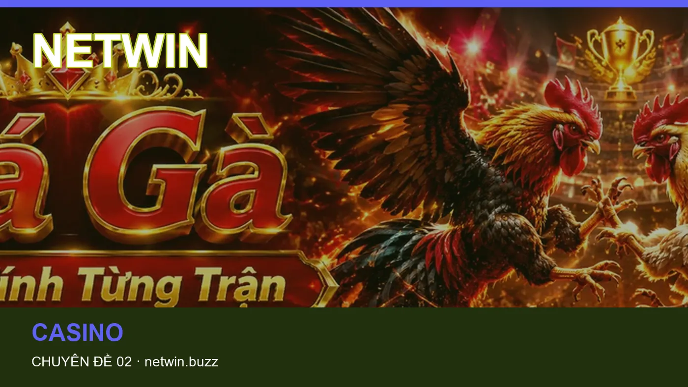 Hình minh họa bài viết NETWIN