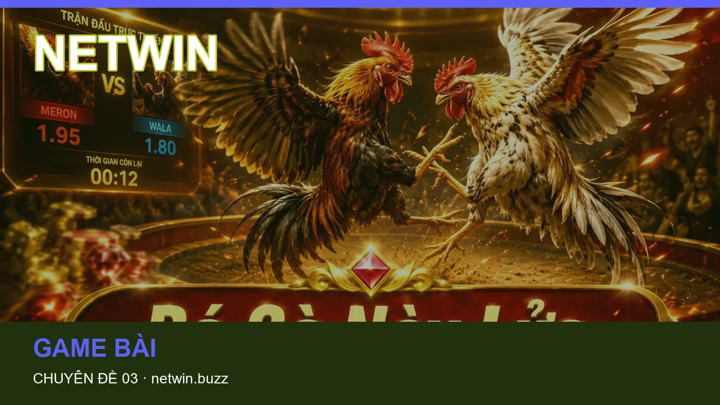Game bài: những thuật ngữ cần hiểu khi tra cứu NETWIN