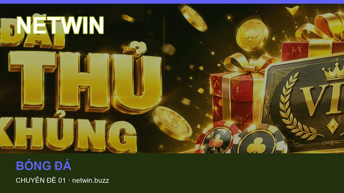 Ứng dụng: những thuật ngữ cần hiểu khi tra cứu NETWIN